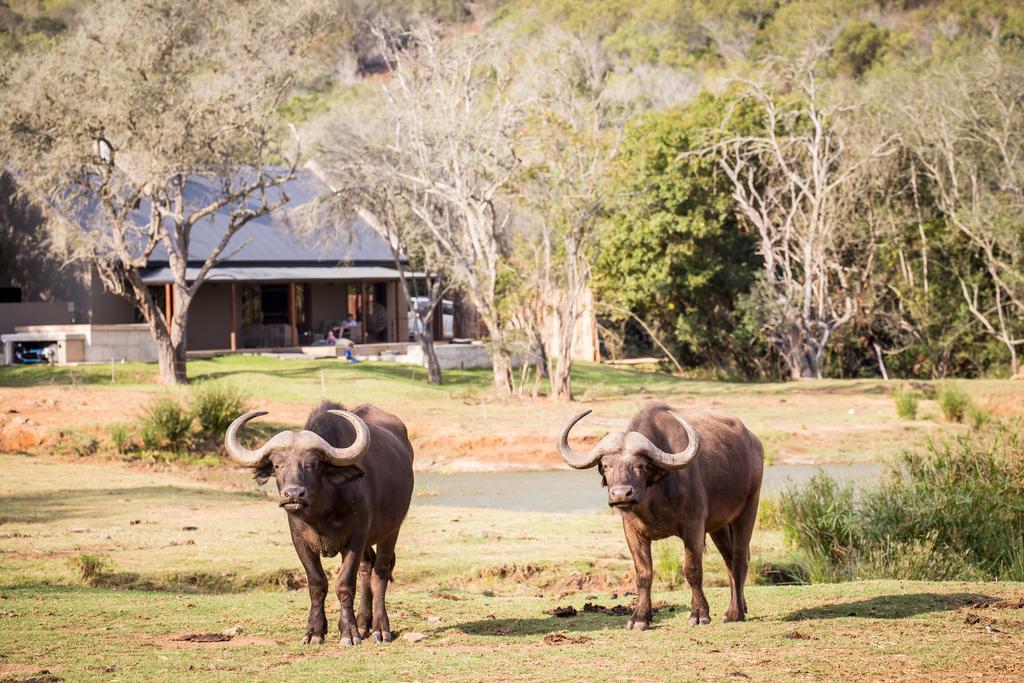 Botlierskop Bush Villas Sandhoogte Ngoại thất bức ảnh